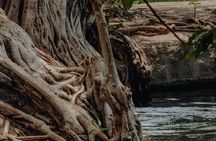 Materuni Waterfalls and Hot Springs Private Tour