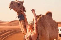 Dubai:Vip Red Dune Safari,4x4 Pick & Drop,Camel,Bbq & Quad Option