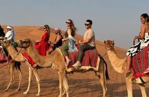 Dubai:Vip Red Dune Safari,4x4 Pick & Drop,Camel,Bbq & Quad Option