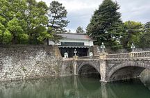 Tokyo Private Half-Day Tour by Car with Local Guide