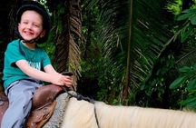 Cruise Excursion - Jungle Horseback Riding in Belize