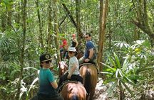 Cruise Excursion - Jungle Horseback Riding in Belize