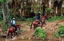Cruise Excursion - Jungle Horseback Riding in Belize