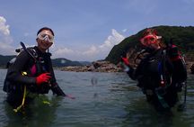 Shared Scuba Diving Trip in Kushimoto