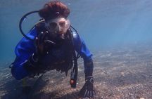 Shared Scuba Diving Trip in Kushimoto