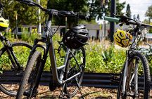 Orlando Bike Tour: A Guided Ride Through Real Orlando
