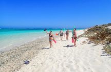 Ningaloo In A Full day Hike and Snorkel Tour
