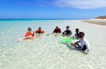Ningaloo In A Full day Hike and Snorkel Tour