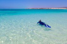 Ningaloo In A Full day Hike and Snorkel Tour