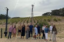 McLaren Vale Wine Experience