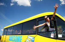 Battambang: Day Trip from Siem Reap and Customized