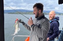 Fjord Sea Safari with Fishing and Crab Pot Hauling from Bergen