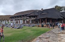Cape Town: Sunset Safari & Wine Tasting Adventure*