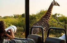 4 Day Kruger Glamping Safari and Panorama Tour