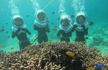 Step Into Ishigaki's Underwater Paradise！