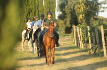 Horseback Ride and Wine Tasting Adventure