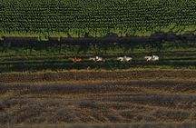 Horseback Ride and Wine Tasting Adventure