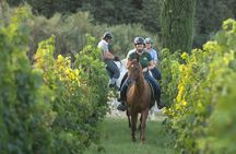 Horseback Ride and Wine Tasting Adventure