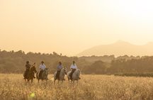 Horseback Ride and Wine Tasting Adventure