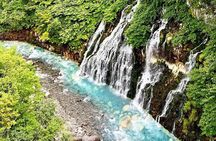 Hokkaido Farm Tomita Shikisai Hill Waterfall& Blue Pond Day Tour 