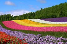 Hokkaido Farm Tomita Shikisai Hill Waterfall& Blue Pond Day Tour 