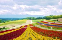 Hokkaido Farm Tomita Shikisai Hill Waterfall& Blue Pond Day Tour 