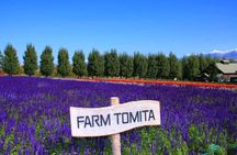 Hokkaido Farm Tomita Shikisai Hill Waterfall& Blue Pond Day Tour 