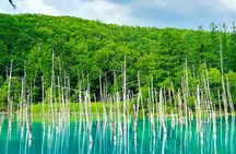Hokkaido Farm Tomita Shikisai Hill Waterfall& Blue Pond Day Tour