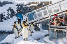  Asahiyama Zoo, Christmas Tree, Fairy Terrace Day Tour | Hokkaido