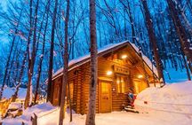 Asahiyama Zoo, Christmas Tree & Ningle Terrace Tour from Sapporo