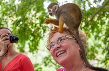 Monkeyland Samana Shared Adventure