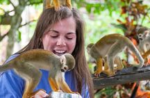 Monkeyland Samana Shared Adventure