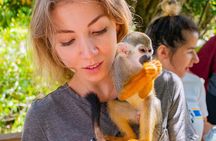 Monkeyland Samana Shared Adventure