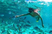 Dunes Snorkeling Tour Outside Santo Domingo 