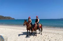 Beach Horseback Riding & Snorkel (Tamarindo, Potrero, Flamingo)