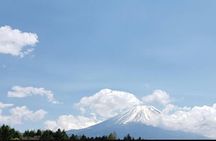 Mount Fuji Private Tour by Car