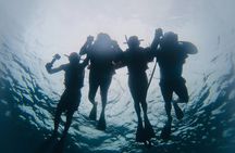 Discover Sosua's Underwater World & Beach Day