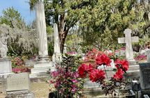 Bonaventure Cemetery Luxury Van Tour