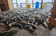 Discover Sri Lanka’s Unique Marine Farming Culture