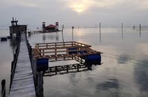 Discover Sri Lanka’s Unique Marine Farming Culture