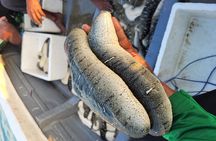 Discover Sri Lanka’s Unique Marine Farming Culture