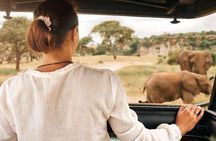 5 Day Kruger Glamping Safari and Panorama Tour