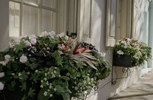 Stroll Historic South of Broad in Charleston’s Walled City