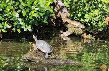 Backwater Wildlife and Boat Tour