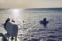 Backwater Wildlife and Boat Tour