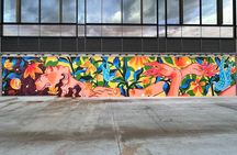 Denver Graffiti North RiNo Tour