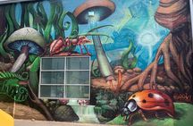 Denver Graffiti North RiNo Tour