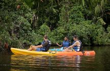 Tortuguero National Park Kayaking Tour