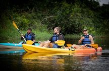 Tortuguero National Park Kayaking Tour