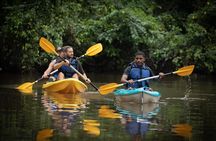 Tortuguero National Park Kayaking Tour